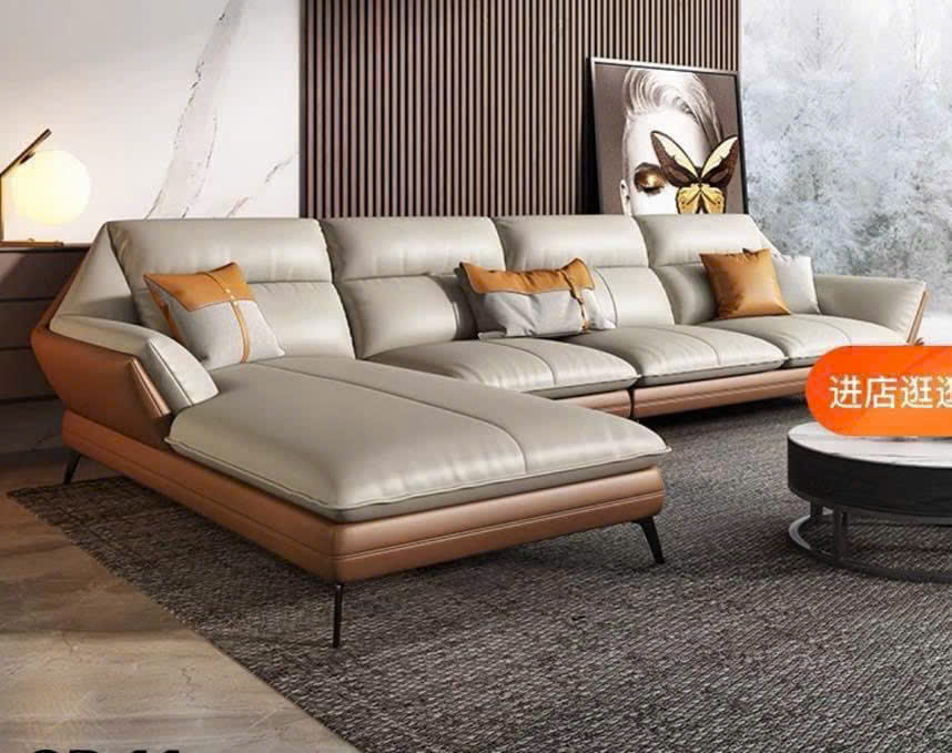Giường Sofa 6